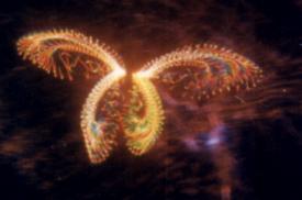 Butterfly Laser